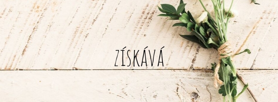 Výsledky z ankety „Pracovník roku v sociálních službách“