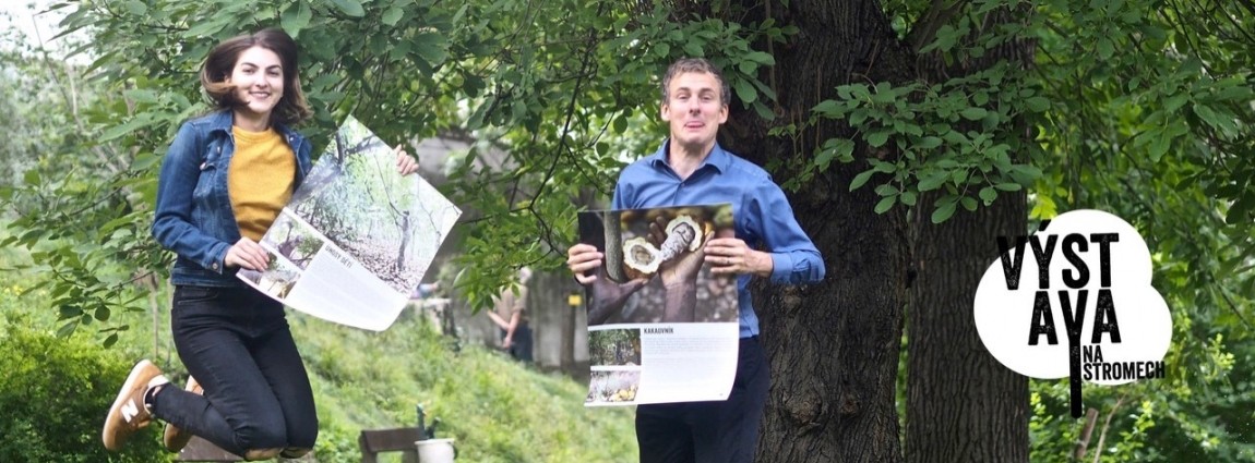 I ve Valašském Meziříčí je k vidění výstava o životě a problémech pěstitelů kakaa