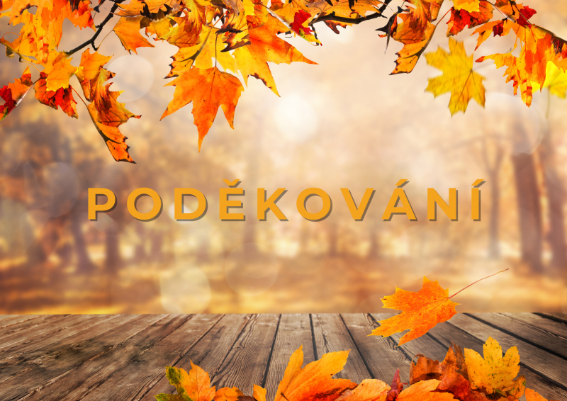 Poděkov&aacute;n&iacute;