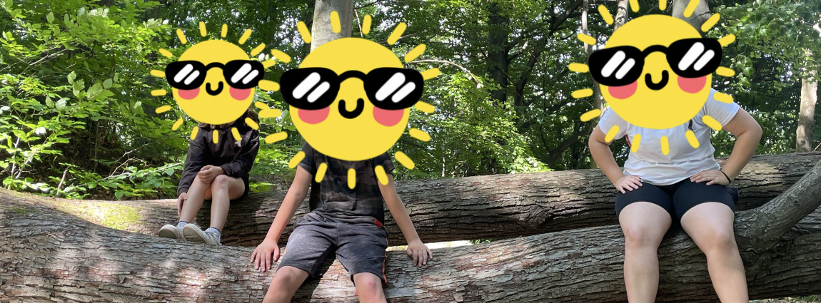 Jak se máme v TRIUMF klubu