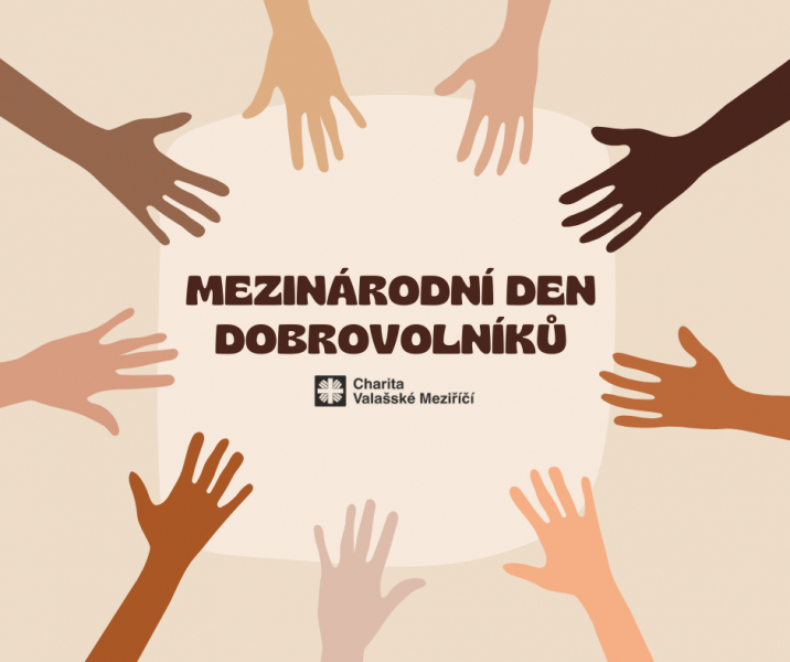 Mezin&aacute;rodn&iacute; den dobrovoln&iacute;ků