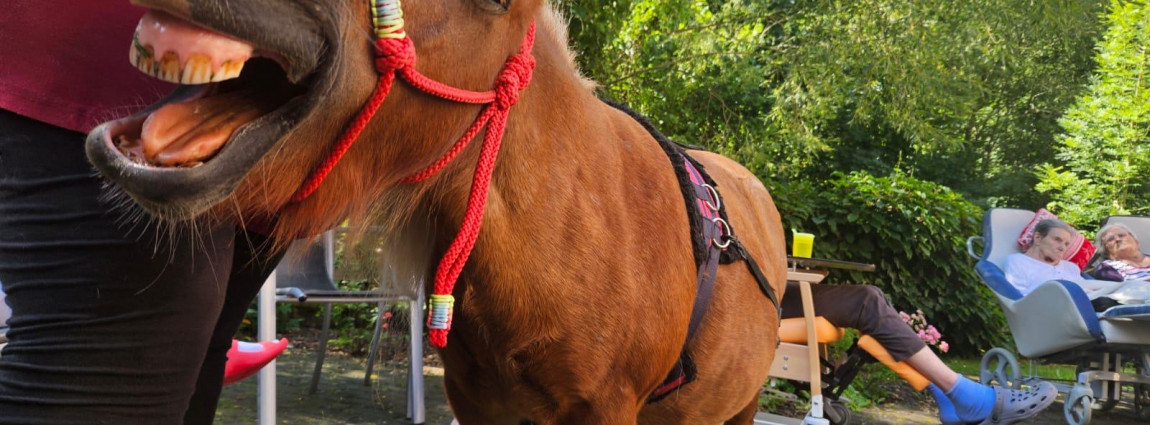 💚 Kr&aacute;sn&eacute; z&aacute;žitky d&iacute;ky ONSEMI 💚