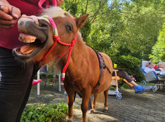 💚 Kr&aacute;sn&eacute; z&aacute;žitky d&iacute;ky ONSEMI 💚