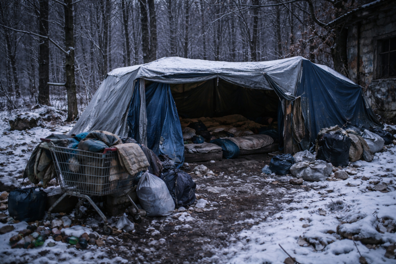 ❄️Ter&eacute;nn&iacute; služba Domino v zimn&iacute;m obdob&iacute;❄️