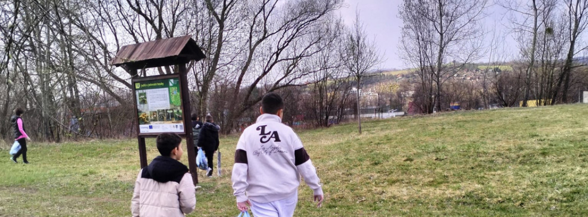 🌱 Společně proti nepoř&aacute;dku 🌱