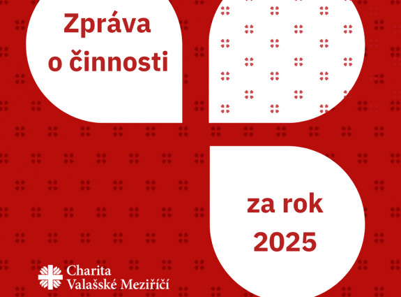Zpr&aacute;va o činnosti za rok 2025