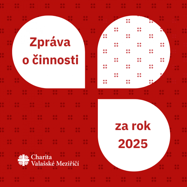 Zpr&aacute;va o činnosti za rok 2025