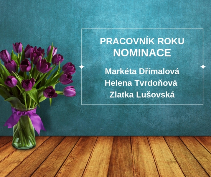 Nominace na Pracovn&iacute;ka roku