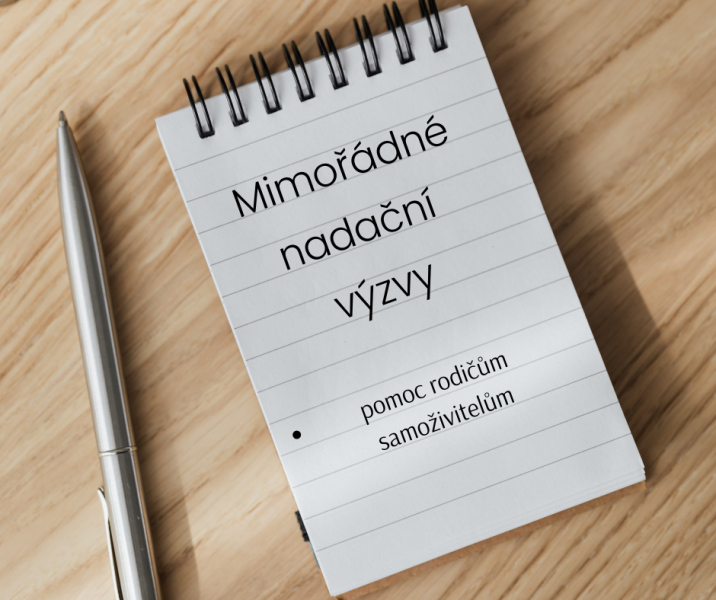MIMOŘ&Aacute;DN&Eacute; NADAČN&Iacute; V&Yacute;ZVY NA POMOC RODIČŮM SAMOŽIVITELŮM