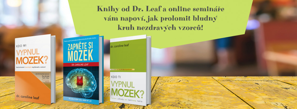 Amika pořádá seminář