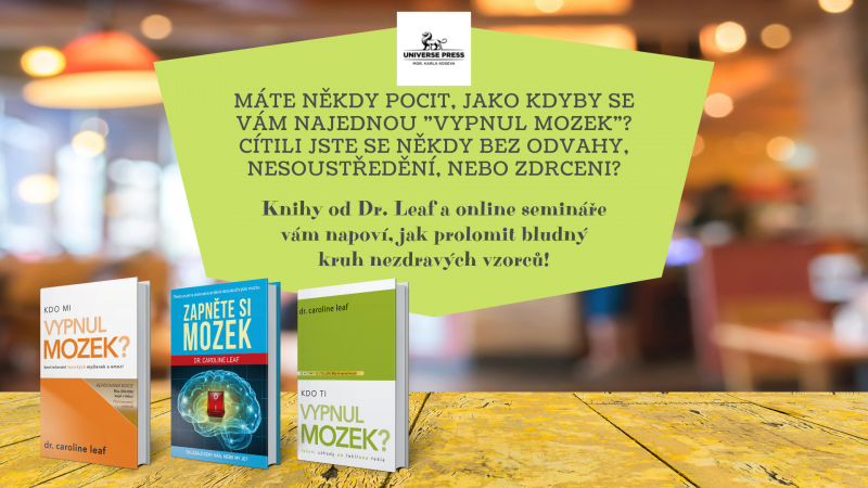 Amika poř&aacute;d&aacute; semin&aacute;ř