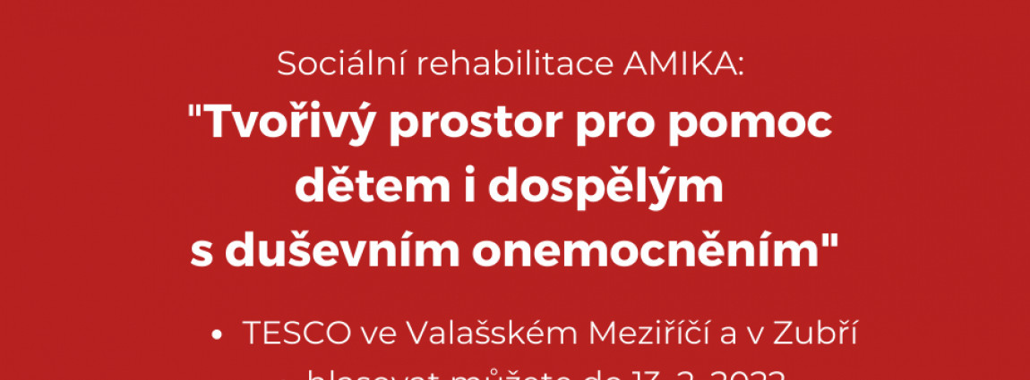 Hlasujte pro AMIKU