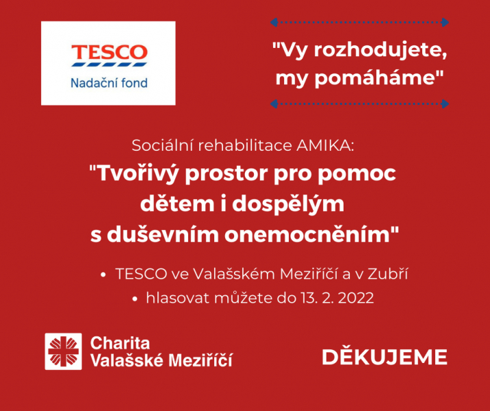 Hlasujte pro AMIKU