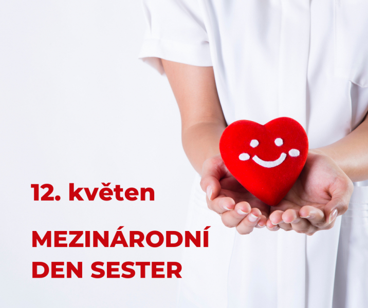 Mezin&aacute;rodn&iacute; den sester