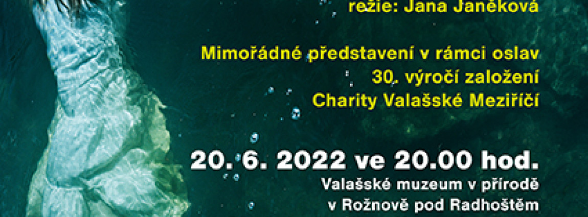 ZVEME V&Aacute;S
