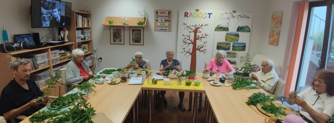 Letní dny v Radosti