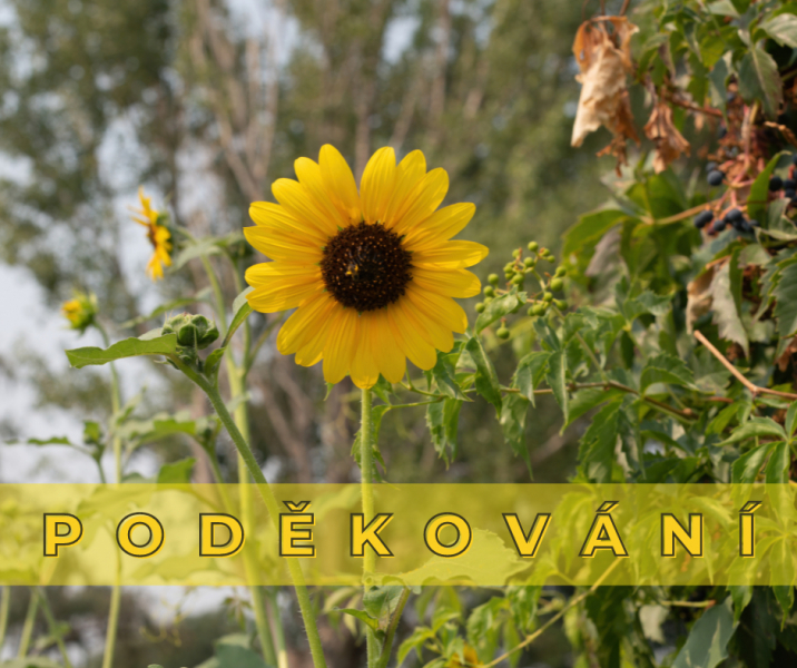 Poděkov&aacute;n&iacute;