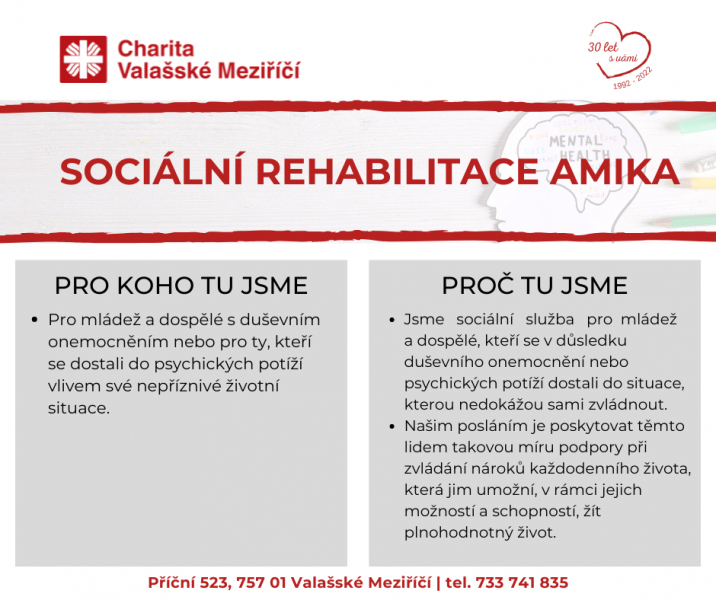 Soci&aacute;ln&iacute; rehabilitace Amika