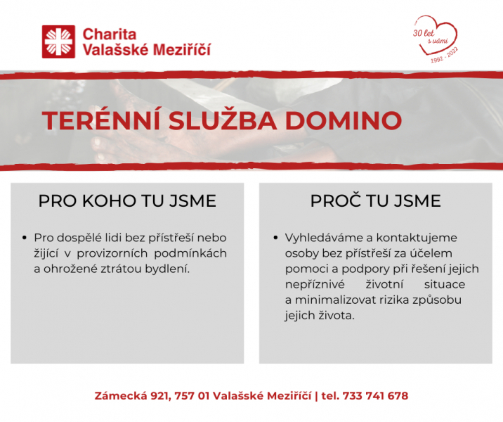 Ter&eacute;nn&iacute; služba Domino