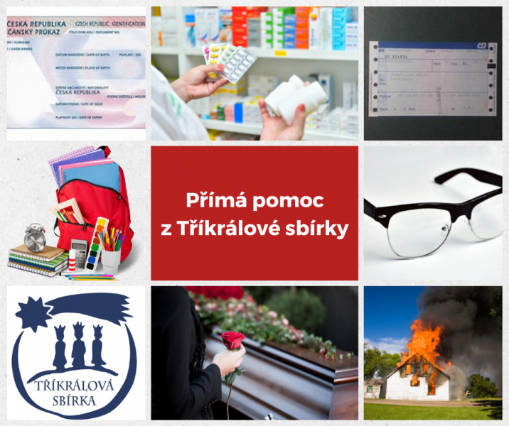 Kde pen&iacute;ze z Tř&iacute;kr&aacute;lov&eacute; sb&iacute;rky v uplynul&eacute;m roce pomohly?