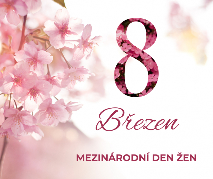 Dnes slav&iacute;me Mezin&aacute;rodn&iacute; den žen