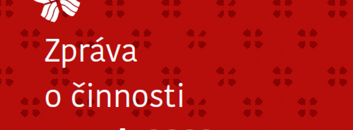 Zpr&aacute;va o na&scaron;&iacute; činnosti v roce 2022
