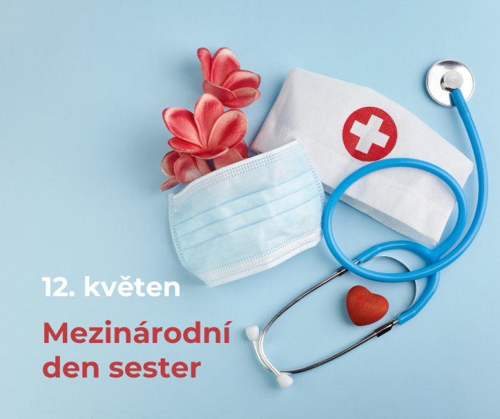 Mezin&aacute;rodn&iacute; den sester
