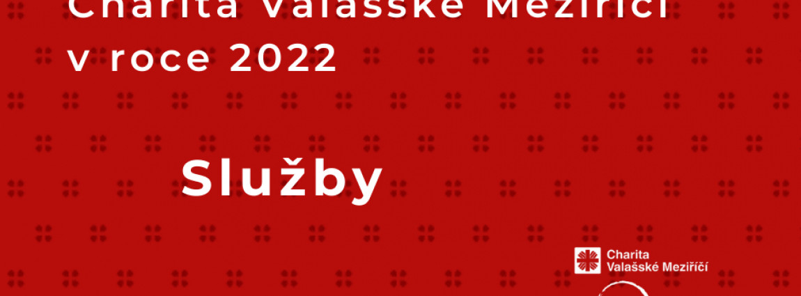 Služby / V&yacute;ročn&iacute; zpr&aacute;va 2022