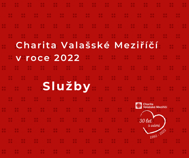 Služby / V&yacute;ročn&iacute; zpr&aacute;va 2022