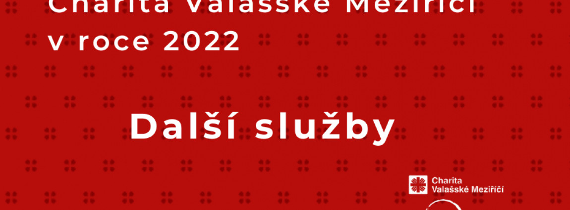 Dal&scaron;&iacute; služby / V&yacute;ročn&iacute; zpr&aacute;va 2022