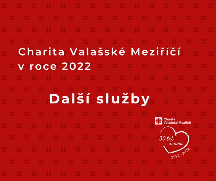 Dal&scaron;&iacute; služby / V&yacute;ročn&iacute; zpr&aacute;va 2022