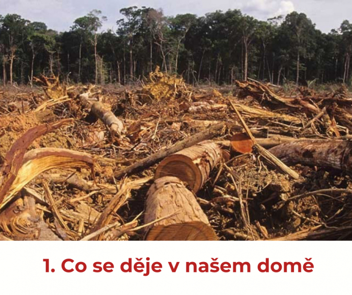 Co se děje v na&scaron;em domě / Laudato si&acute;