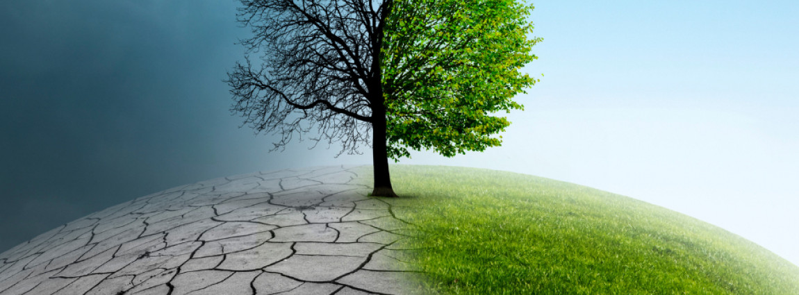 Jak se zorientovat a jak jednat / Laudato si&acute;