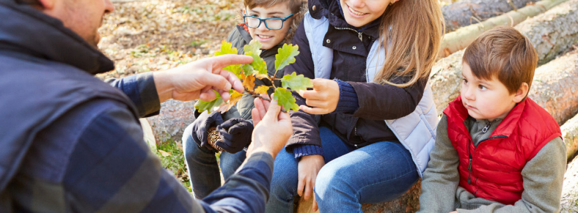 Ekologick&aacute; v&yacute;chova a spiritualita / Laudato si&acute;