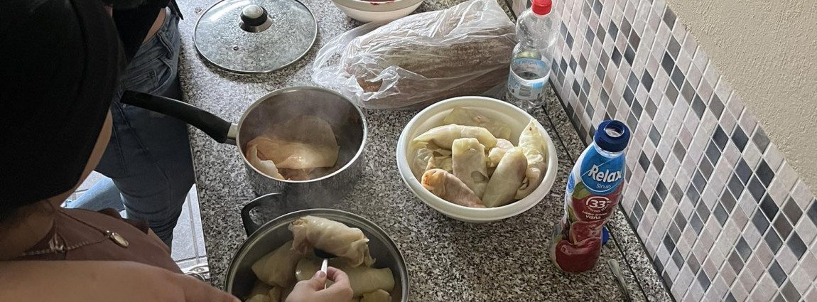 T&yacute;den romsk&eacute; kultury v Zast&aacute;vce