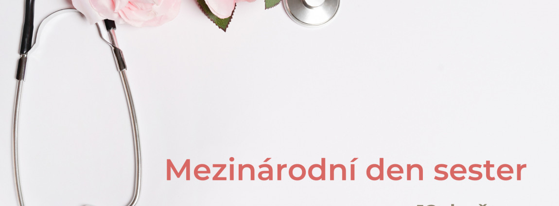 Mezin&aacute;rodn&iacute; den sester