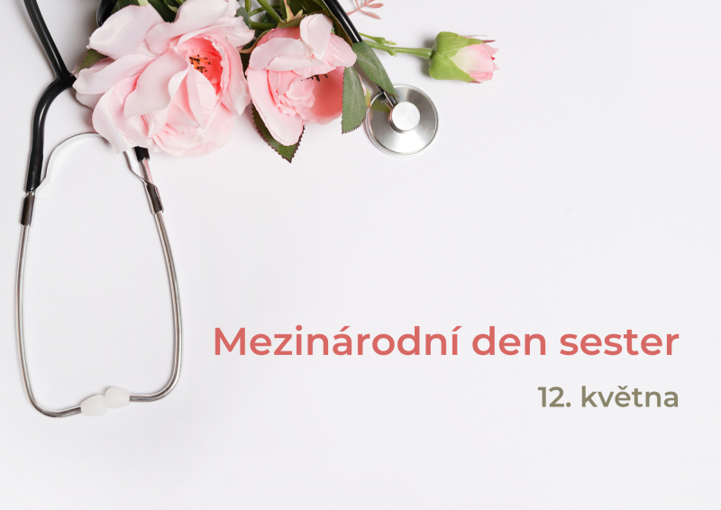 Mezin&aacute;rodn&iacute; den sester