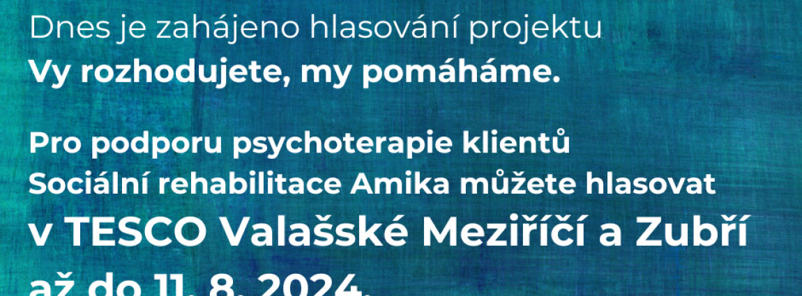 Startuje hlasov&aacute;n&iacute; 15. kola Vy rozhodujete, my pom&aacute;h&aacute;me