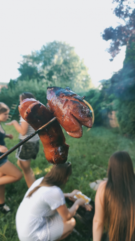 Obrázek v galerii