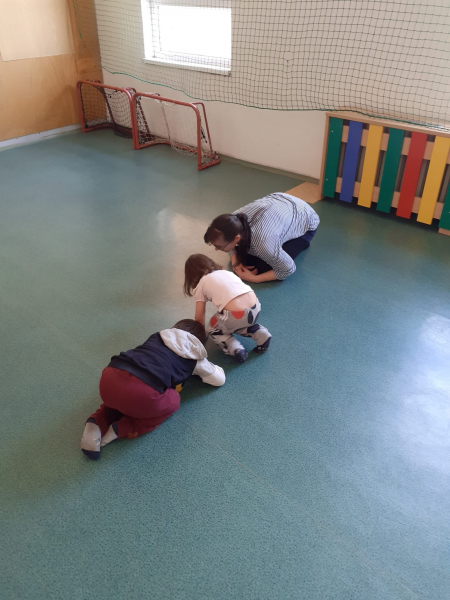 Obrázek v galerii
