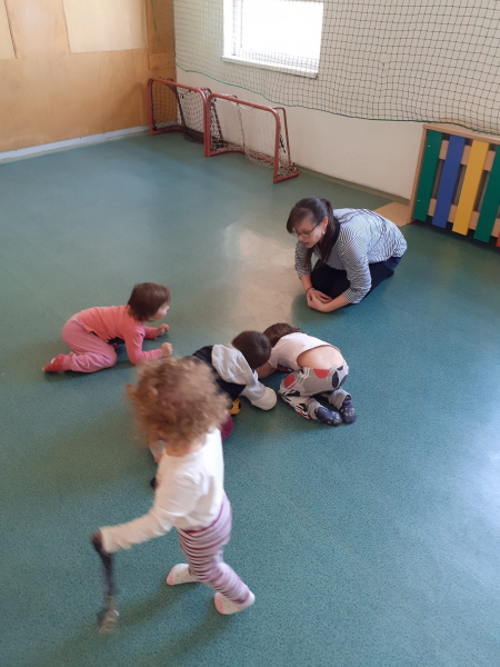 Obrázek v galerii