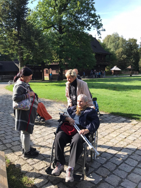 Obrázek v galerii