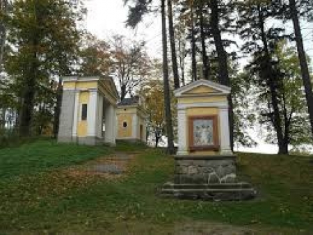 Obrázek v galerii