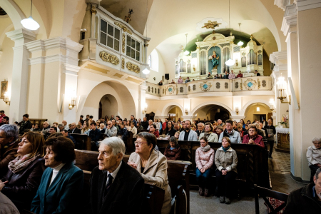 Obrázek v galerii