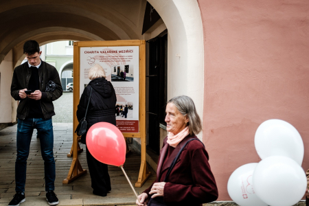 Obrázek v galerii
