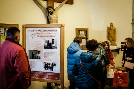 Obrázek v galerii