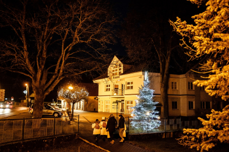 Obrázek v galerii