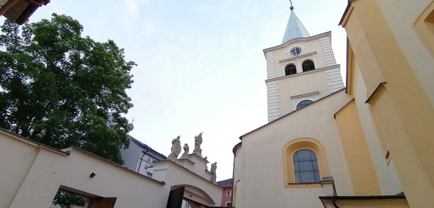 Obrázek v galerii