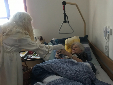 Obrázek v galerii