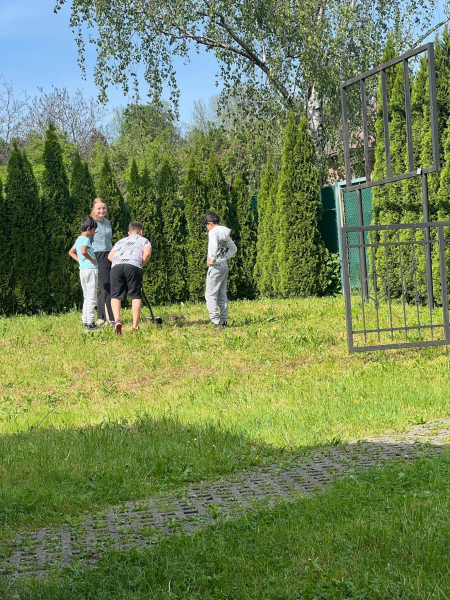 Obrázek v galerii